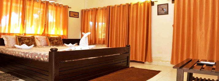 1432/Camp Leo & Gir Pride Resort - Gir National Park 10.jpg